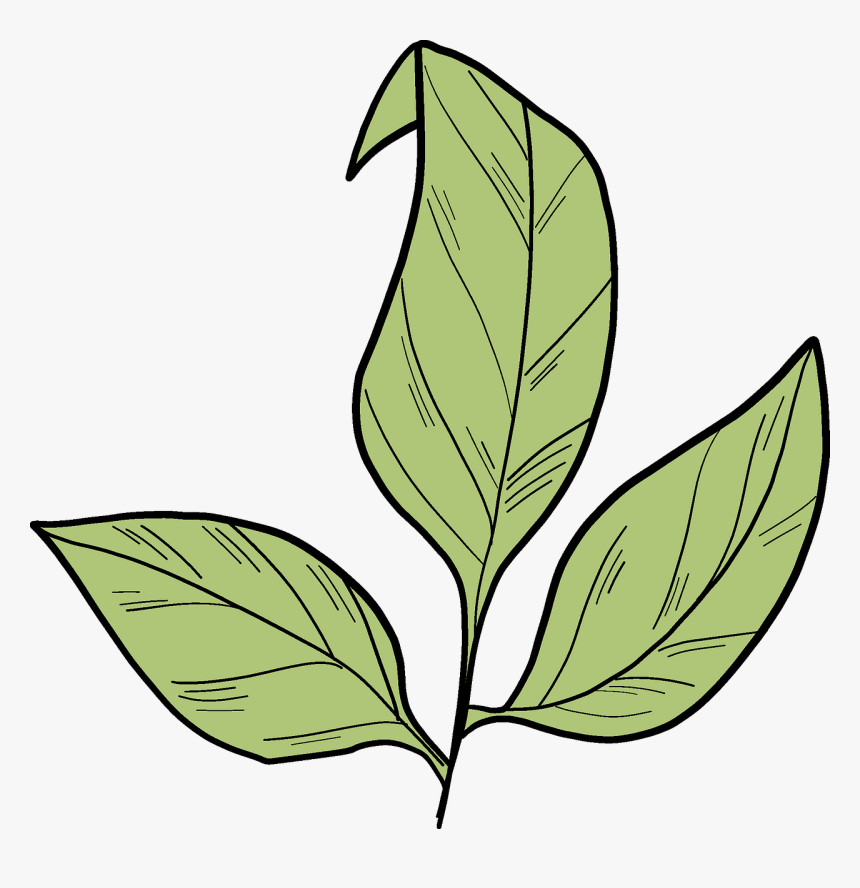 Clip Art, HD Png Download