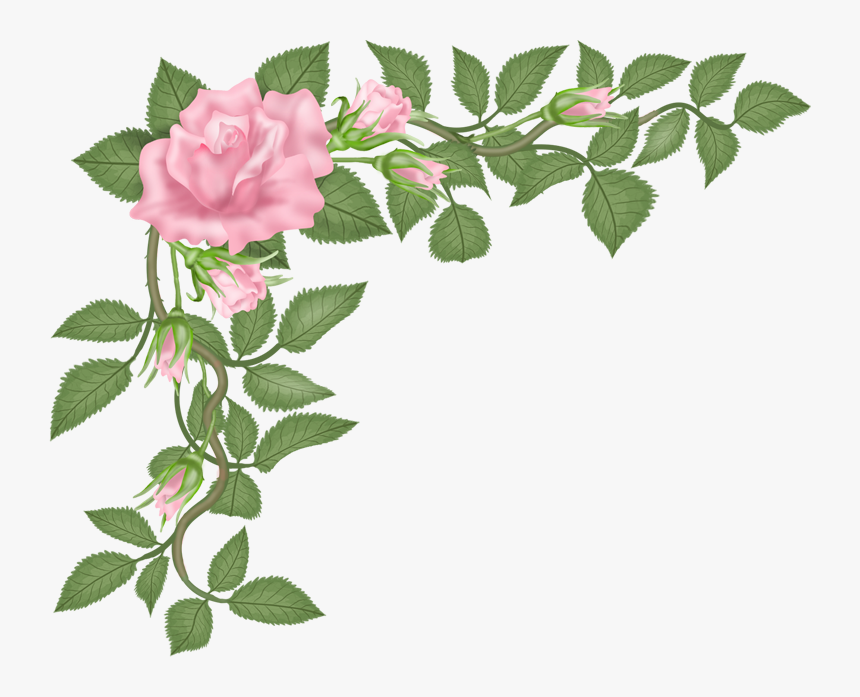 Vector Bouquet Eucalyptus Leaf - Rose, HD Png Download