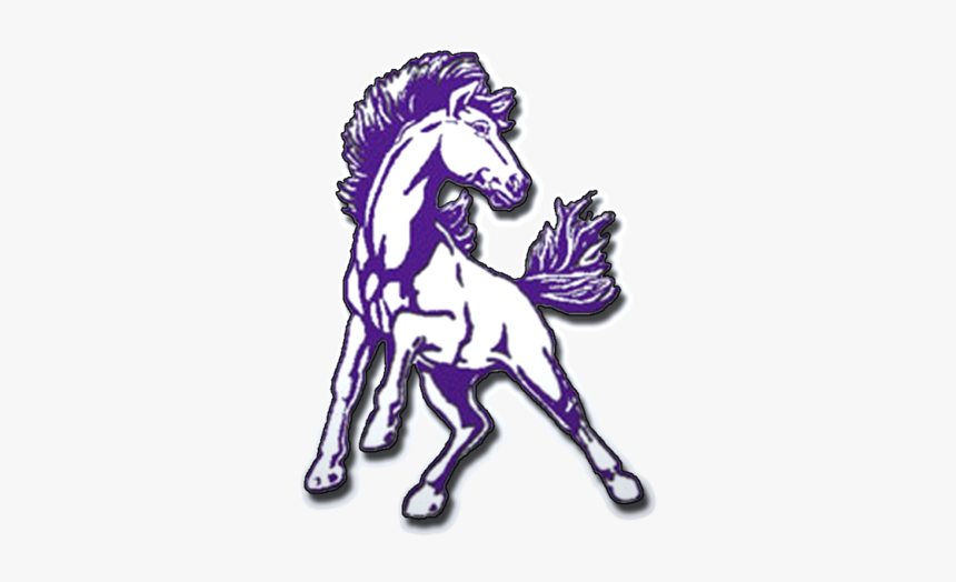 Belle Fourche Broncs - Belle Fourche Broncs Logo, HD Png Download