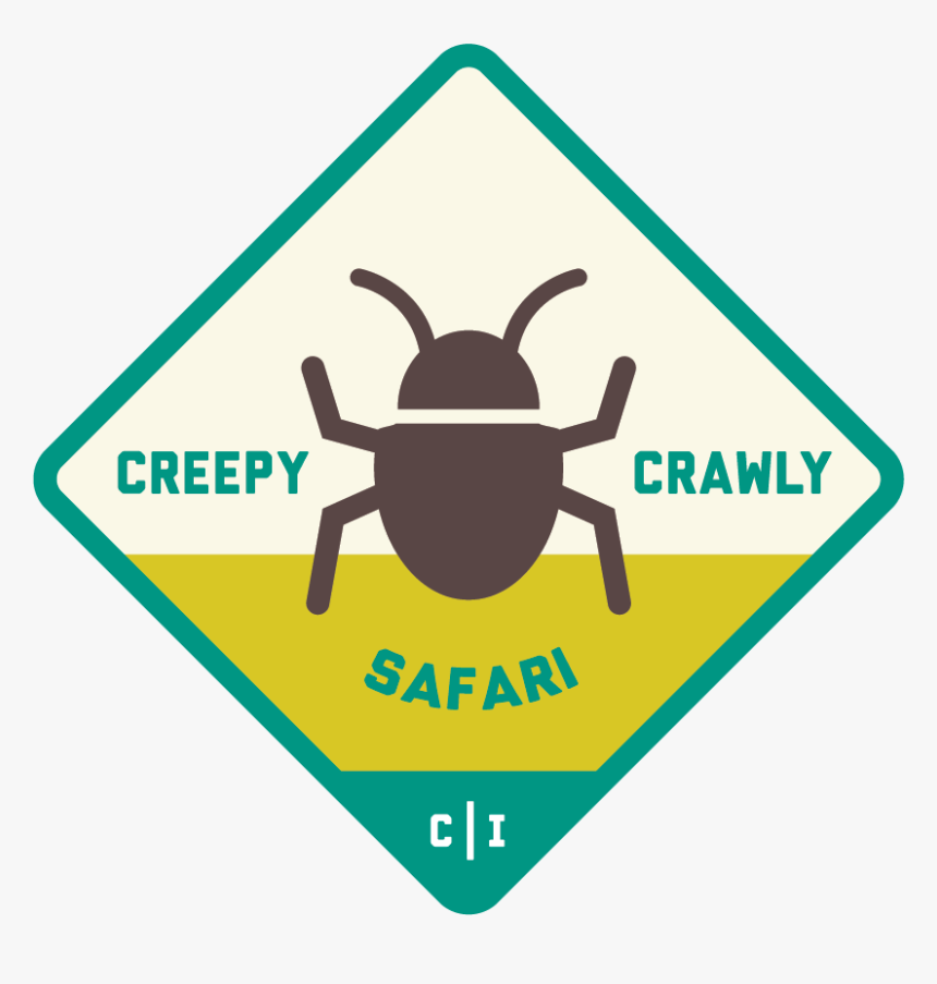 Computer Bug Png, Transparent Png