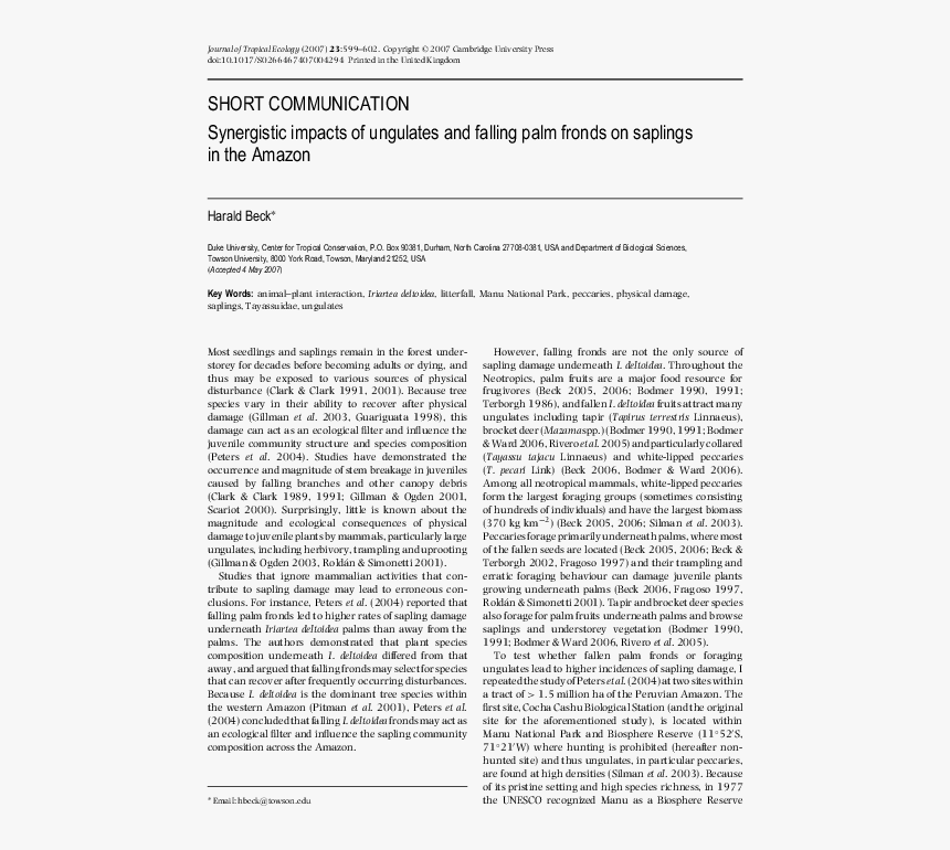 Document, HD Png Download