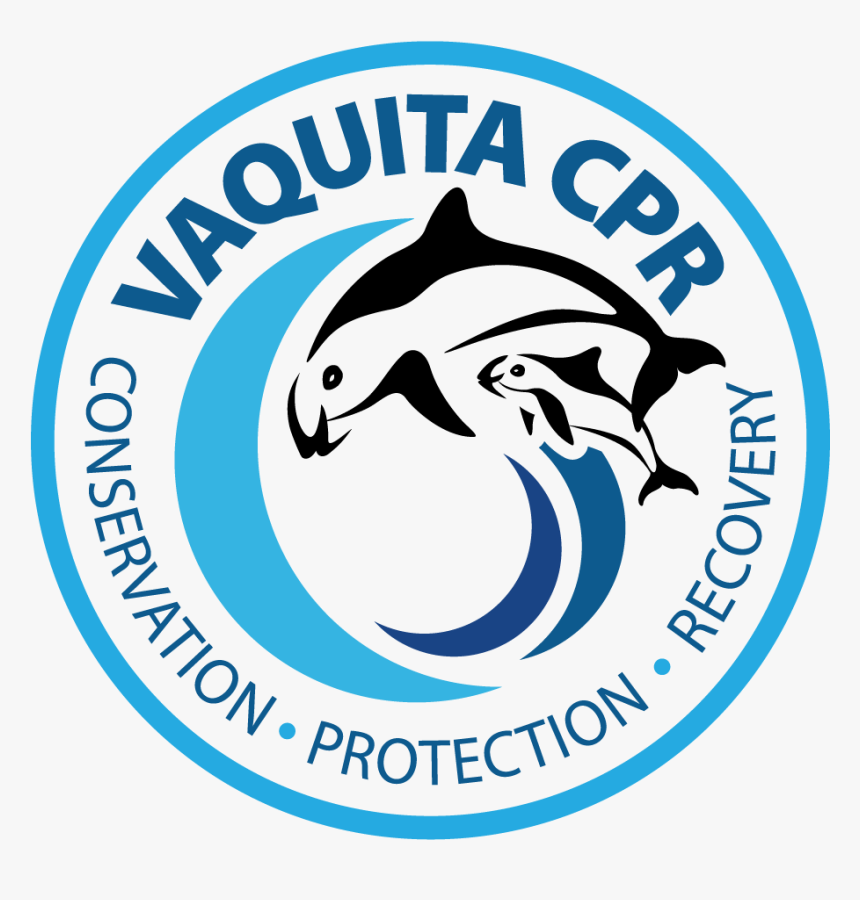Vaquita Logo English Color - Vaquita Cpr Logo, HD Png Download