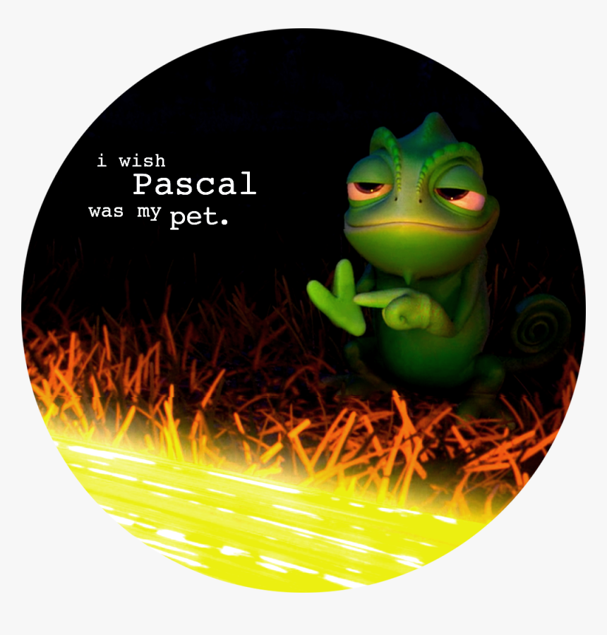 Tangled, HD Png Download