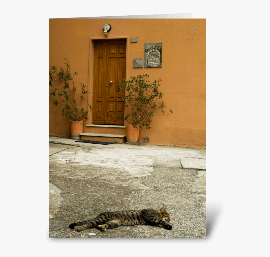Cat Nap Greeting Card - Ocelot, HD Png Download