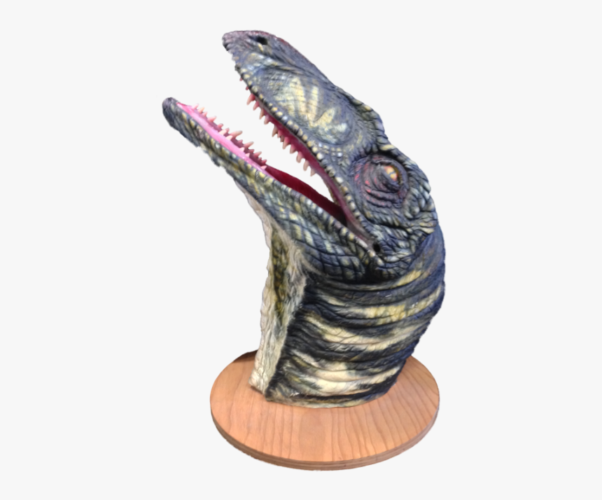 Lizard, HD Png Download