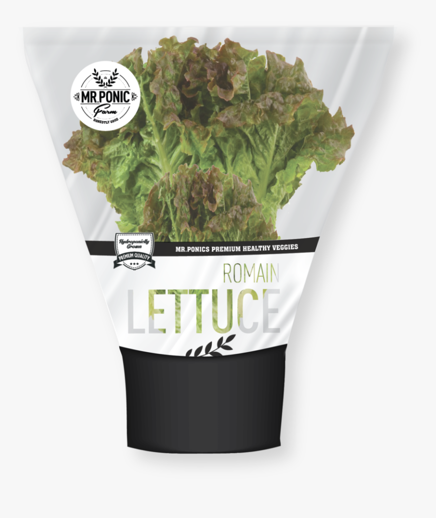 Broccoli, HD Png Download