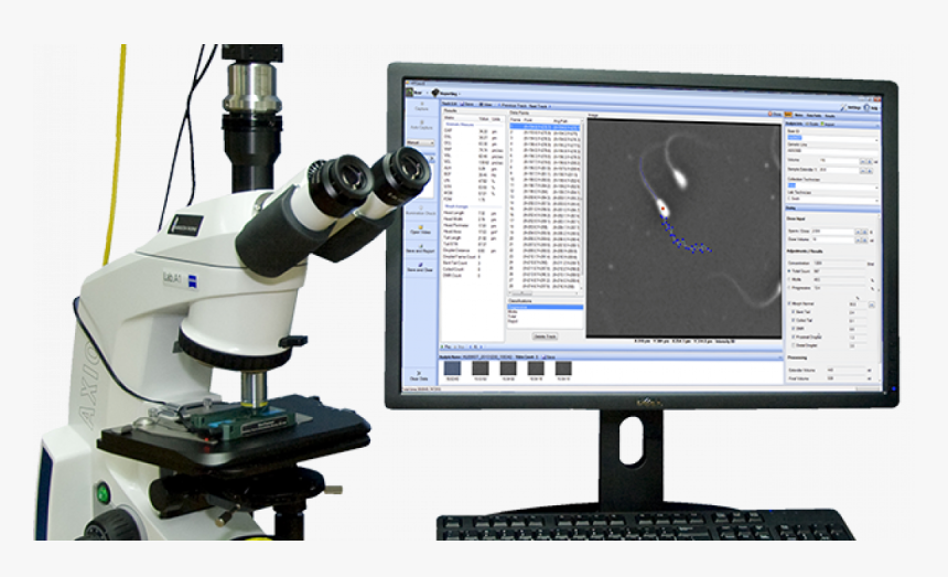 Photo Ceros Ii - Hamilton Thorne Ceros Ii, HD Png Download