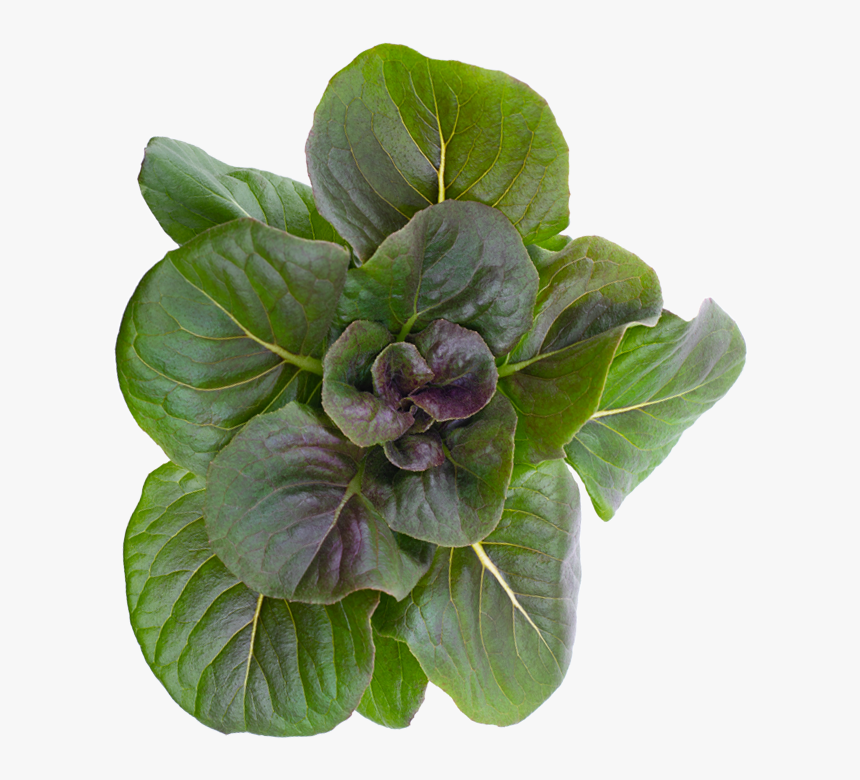 Spring Greens, HD Png Download