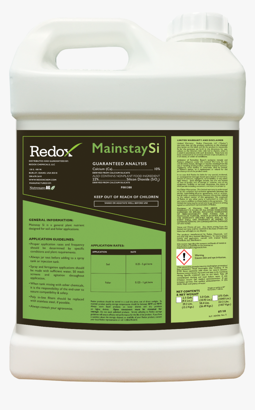 Insect, HD Png Download