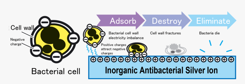 Circle, HD Png Download