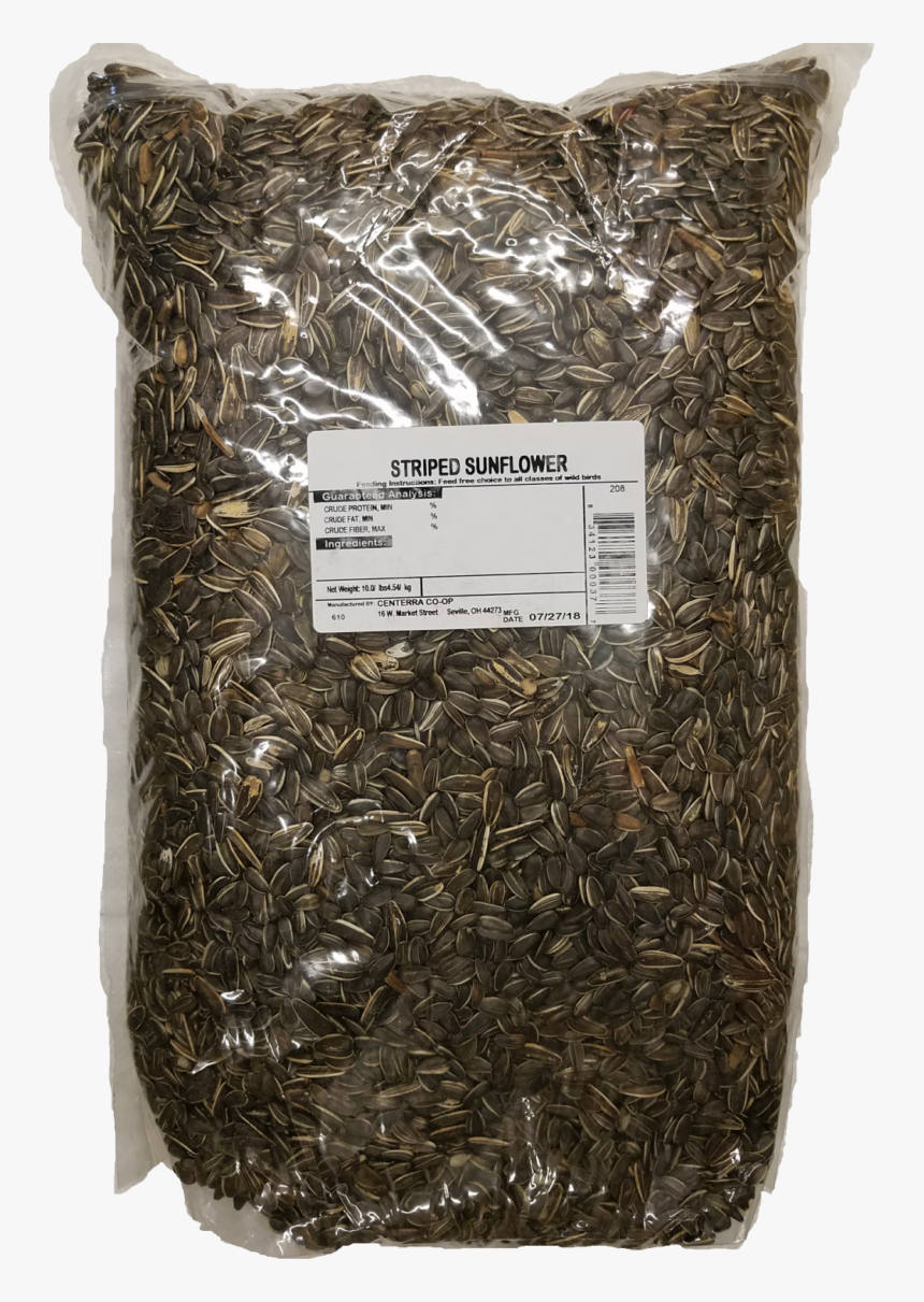 Throw Pillow, HD Png Download