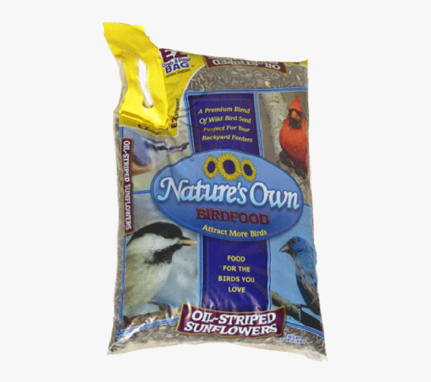 Shore Lark, HD Png Download