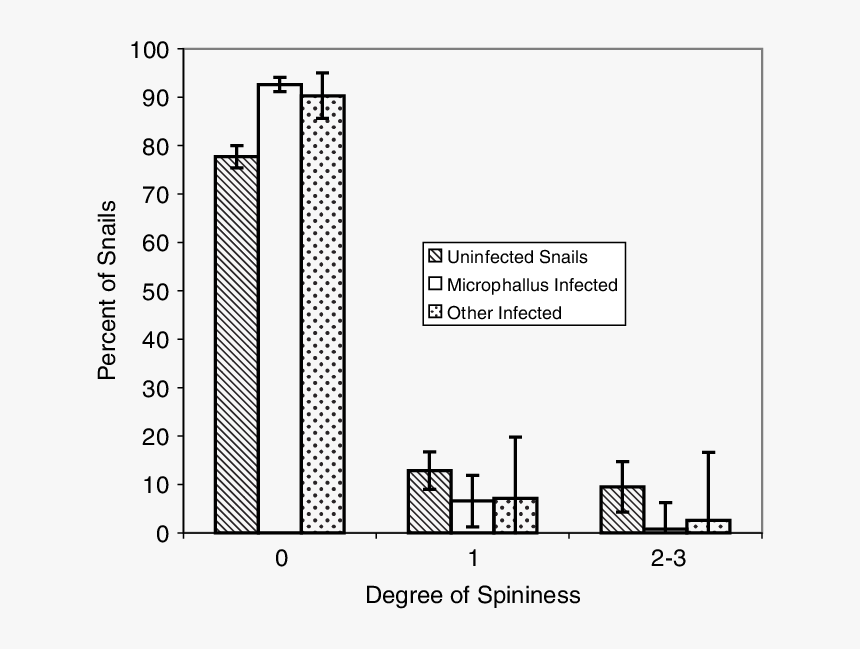 Diagram, HD Png Download