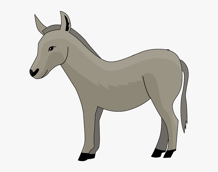 Burro, HD Png Download
