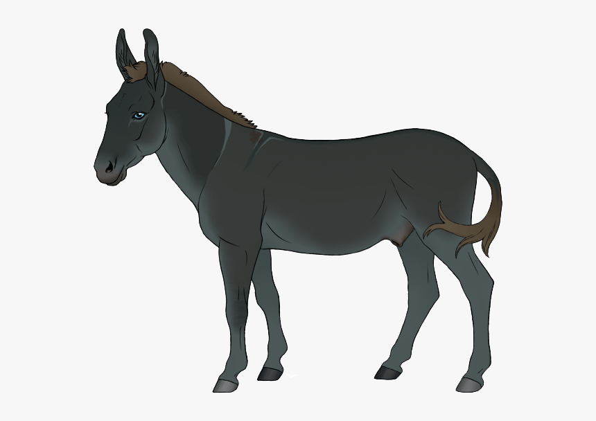 Burro, HD Png Download