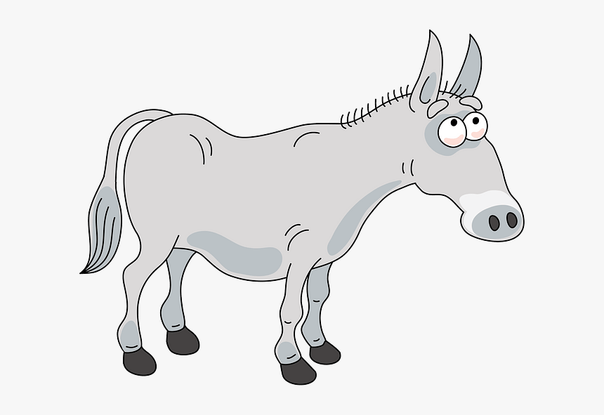 Burro, HD Png Download