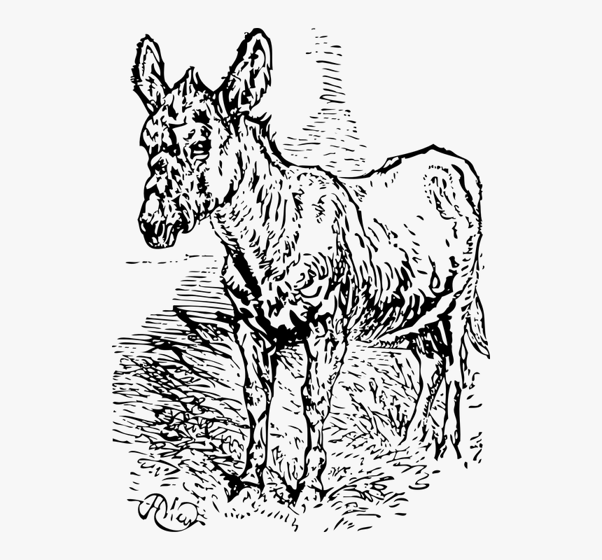 Sketch Of Mother Mary Animals, HD Png Download