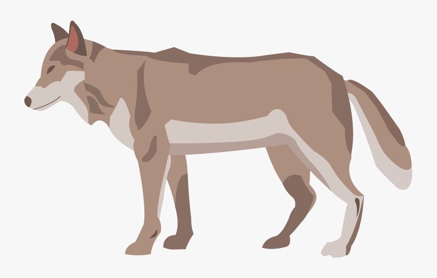 Animal Quote Colegrophy, HD Png Download