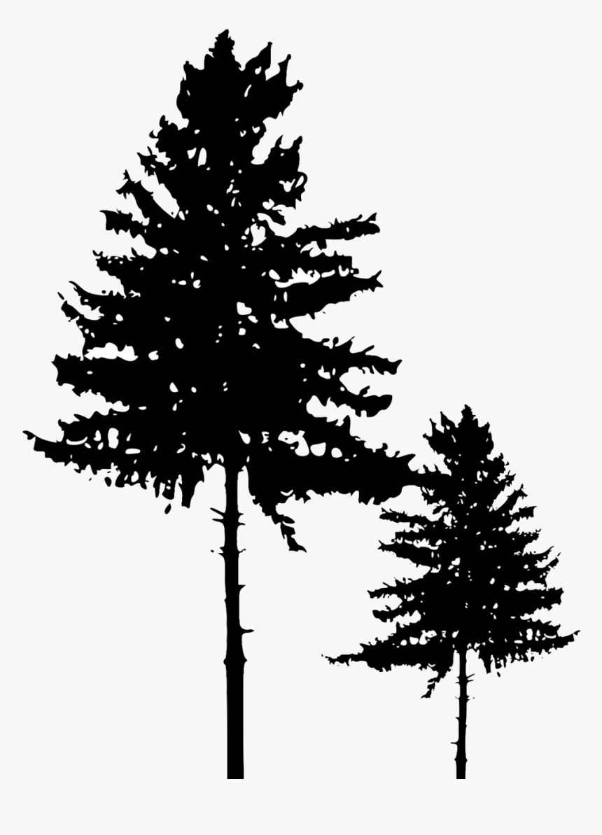 Tree Silhouette 3 - Pine Tree Silhouette Png, Transparent Png