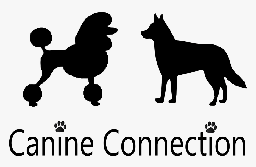 Canine Connection Cleveland Tn - Free Crochet Poodle Crochet Pattern, HD Png Download