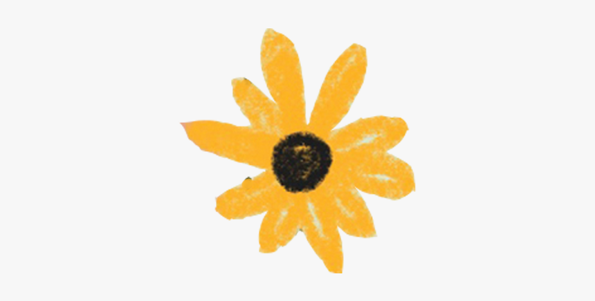 Black-eyed Susan, HD Png Download