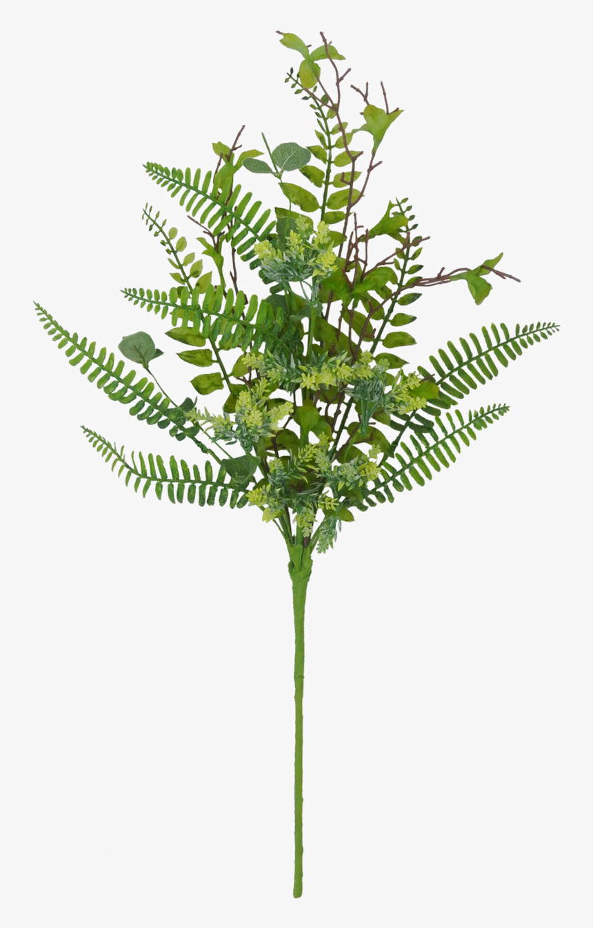 23 - Cicely, HD Png Download