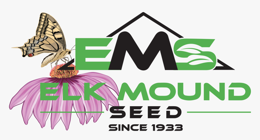 Elk Mound Wildflowers, HD Png Download