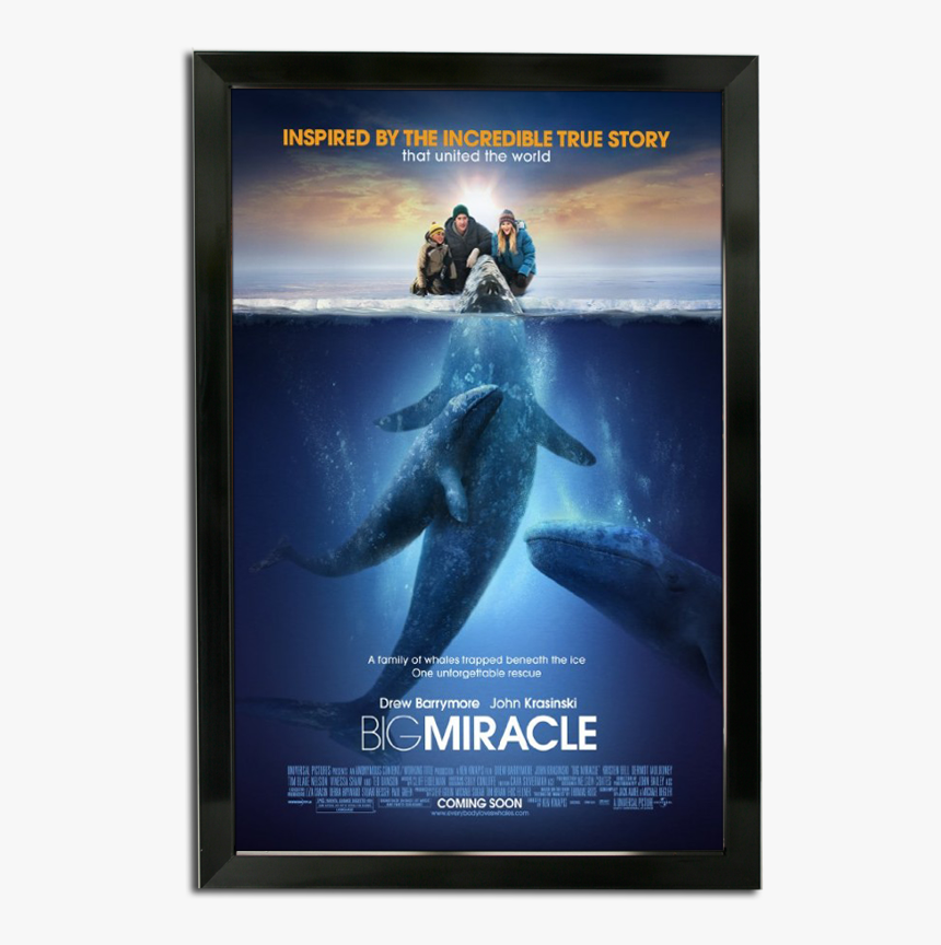 Bass Loc Poster Frame - Big Miracle Movie Poster, HD Png Download