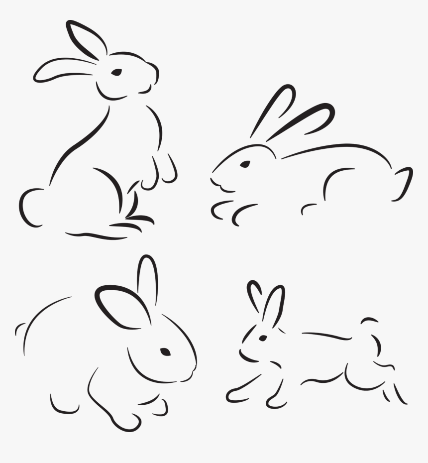 Rabbit Nature Animal Free Picture - Rabbit, HD Png Download