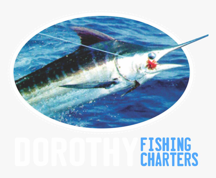 Swordfish, HD Png Download