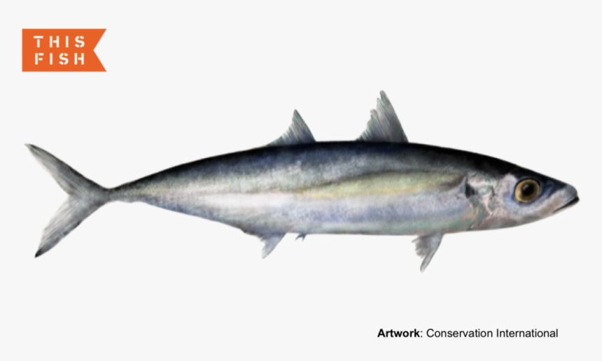 ʻōpelu, HD Png Download