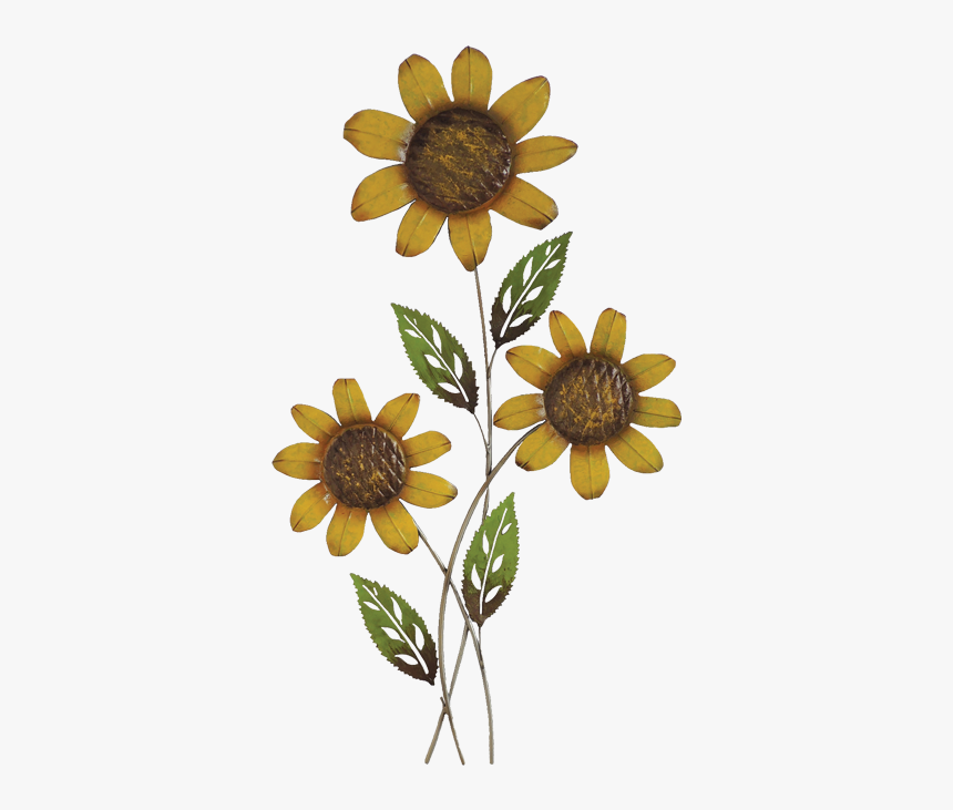 34 - Sunflower, HD Png Download