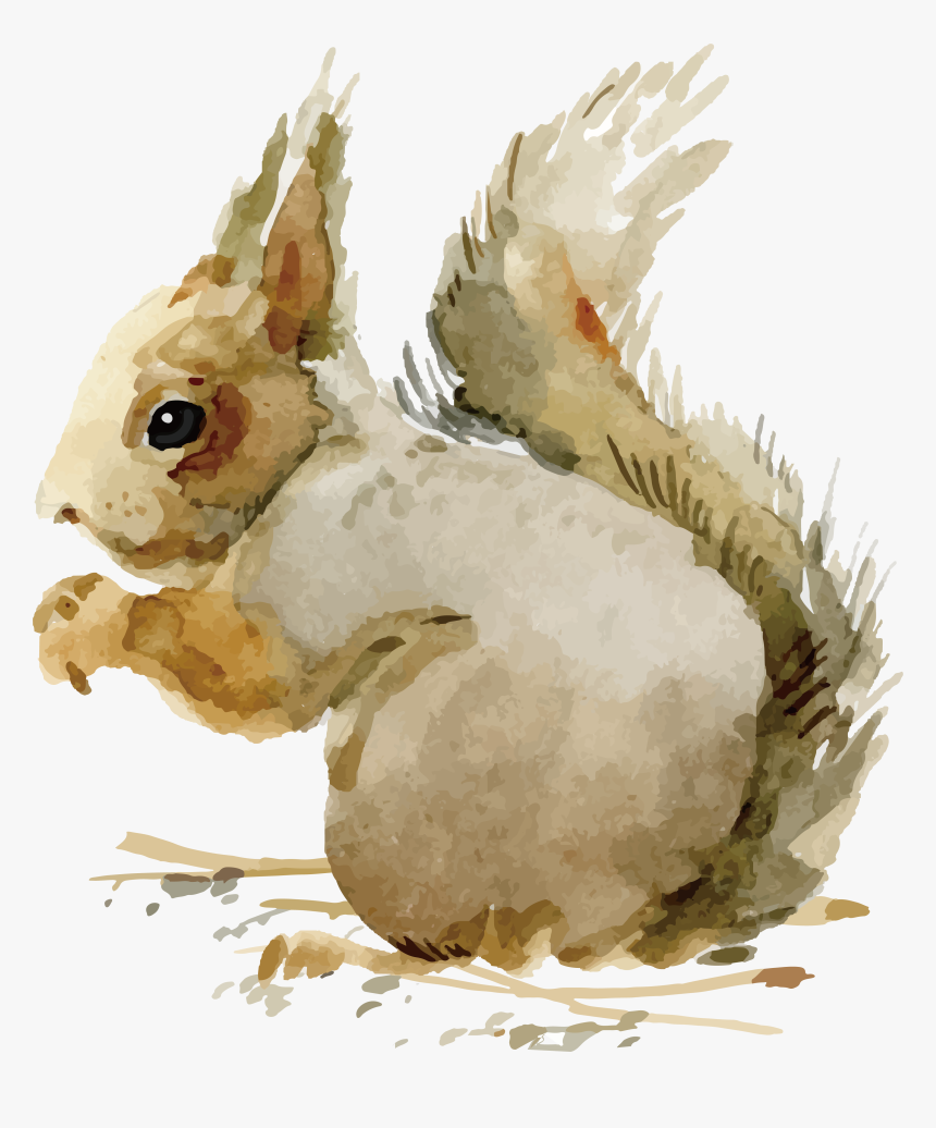 Domestic Rabbit Adobe Illustrator - Vintage Images Of Animals In Fall, HD Png Download