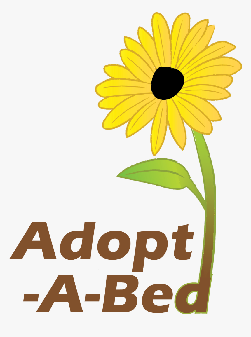 Adopt A Bed - Black-eyed Susan, HD Png Download