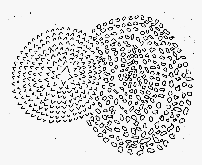 Gach Soi Gạch Terrazzo, HD Png Download