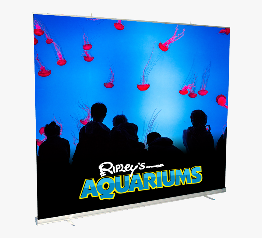 72 Wide Retractable Banner Stand, HD Png Download