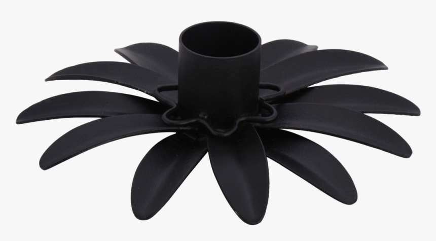 Black-eyed Susan, HD Png Download