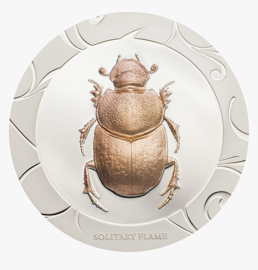 Executive And Coaching Supporting Groups In Transition - Fake People, HD Png Download