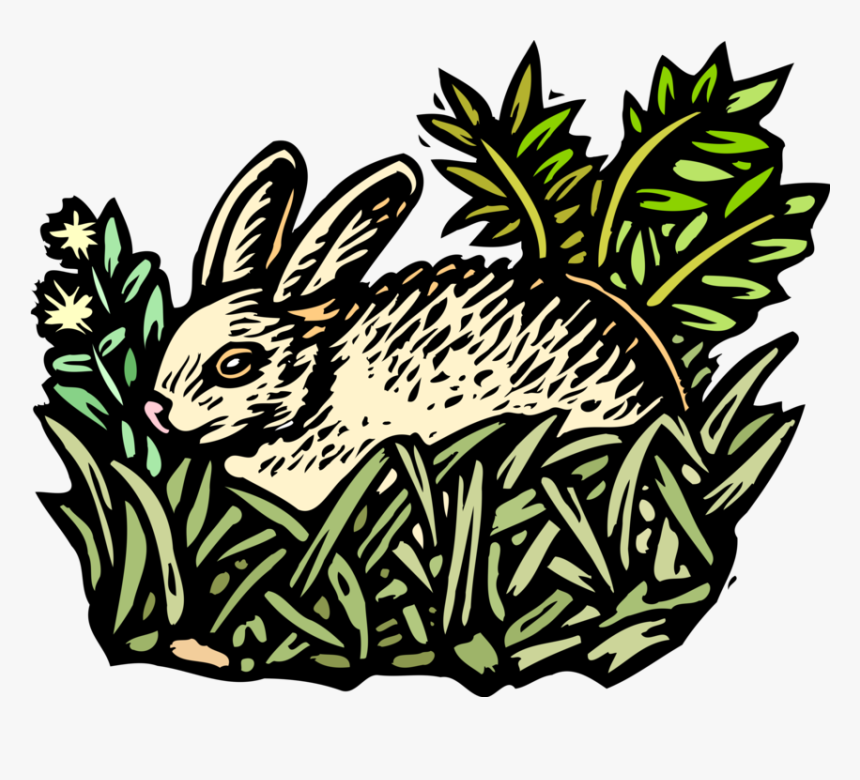 Vector Illustration Of Small Mammal Rabbit Lying In, HD Png Download