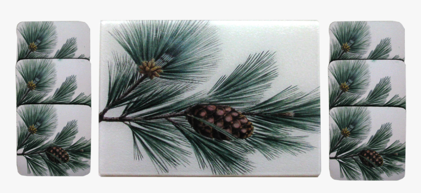 Mexican Pinyon, HD Png Download