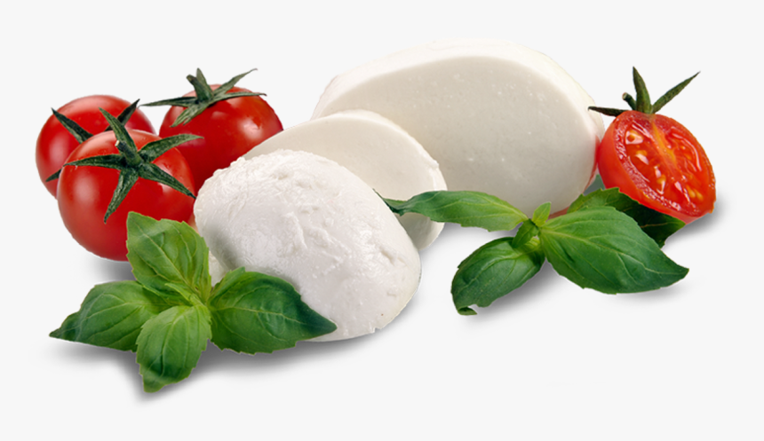 Transparent Mozzarella Png - Burrata Png, Png Download