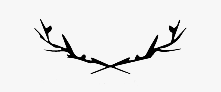 Logo, HD Png Download