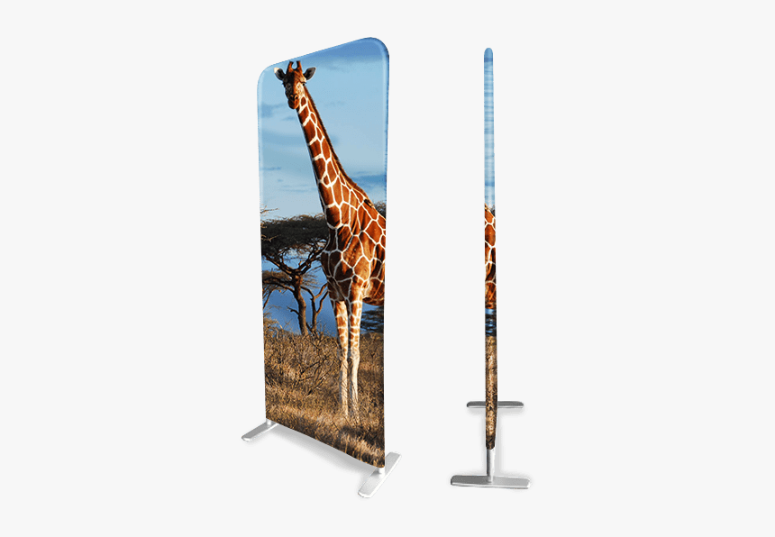 Giraffe, HD Png Download