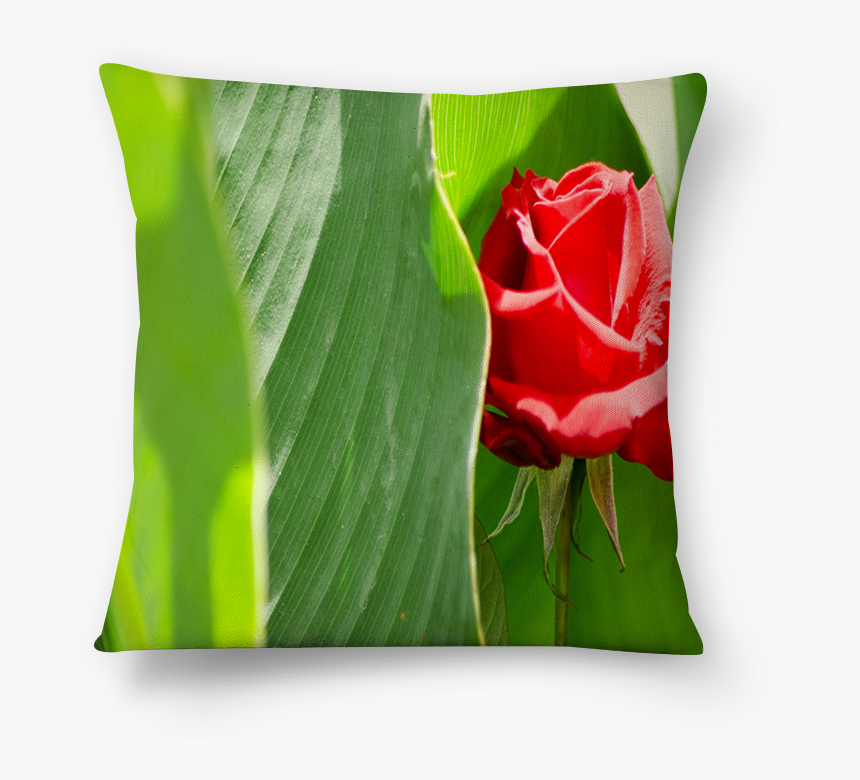 Almofada Rosa Vermelha De Belisa Stedilena - Throw Pillow, HD Png Download
