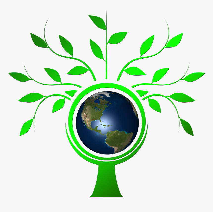 Transparent Background Tree Vectors Png, Png Download