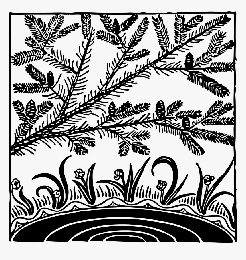 Pine Over Pond Clip Art - Pond Clip Art, HD Png Download
