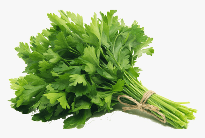 Transparent Perejil Png - Parsley, Png Download