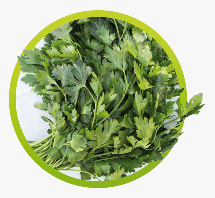 Perejil Para Las Manchas Y Arrugas - Me Queme La Piel Con Crema Depilatoria, HD Png Download