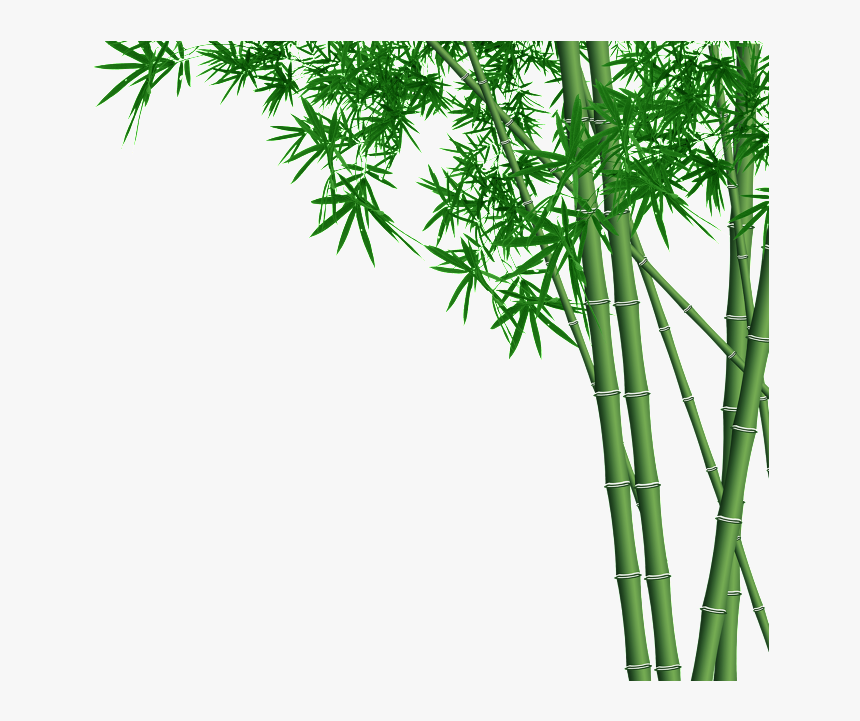 Bamboo Forest Transparent - Bamboo Png, Png Download