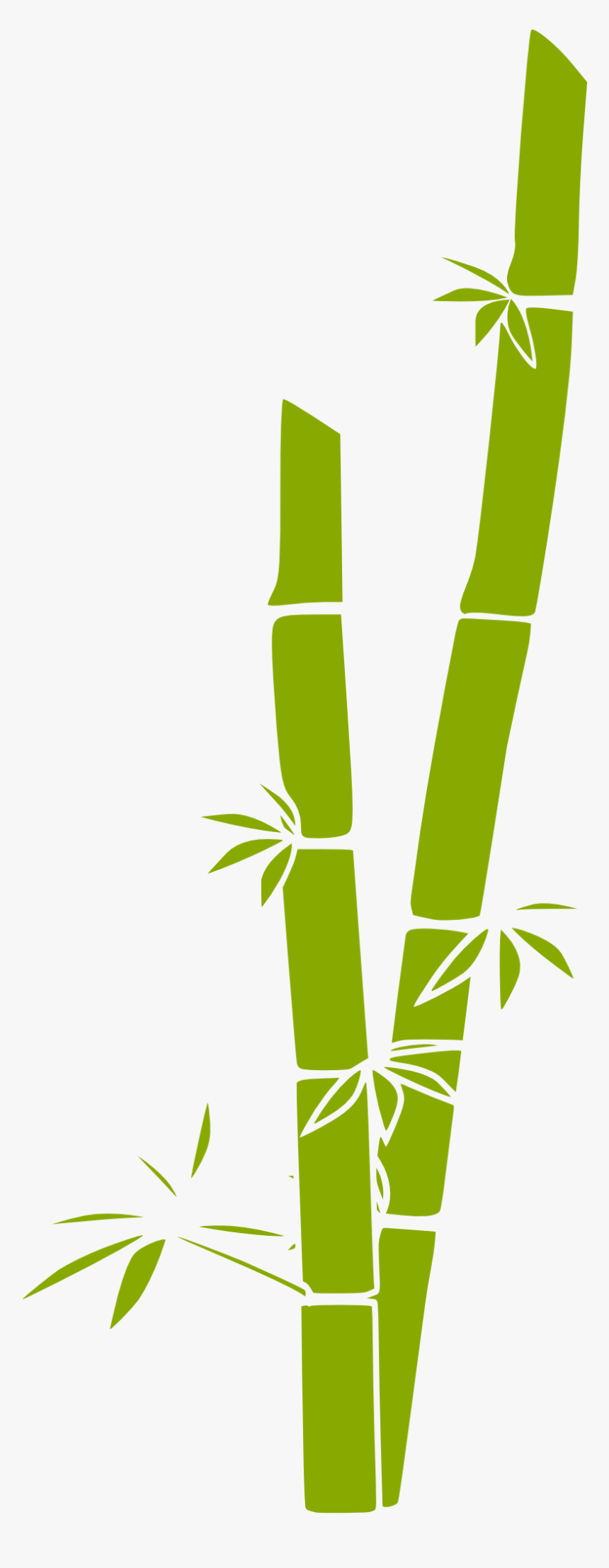 Clipart Panda Bamboo Forest Art - Bamboo Clipart, HD Png Download